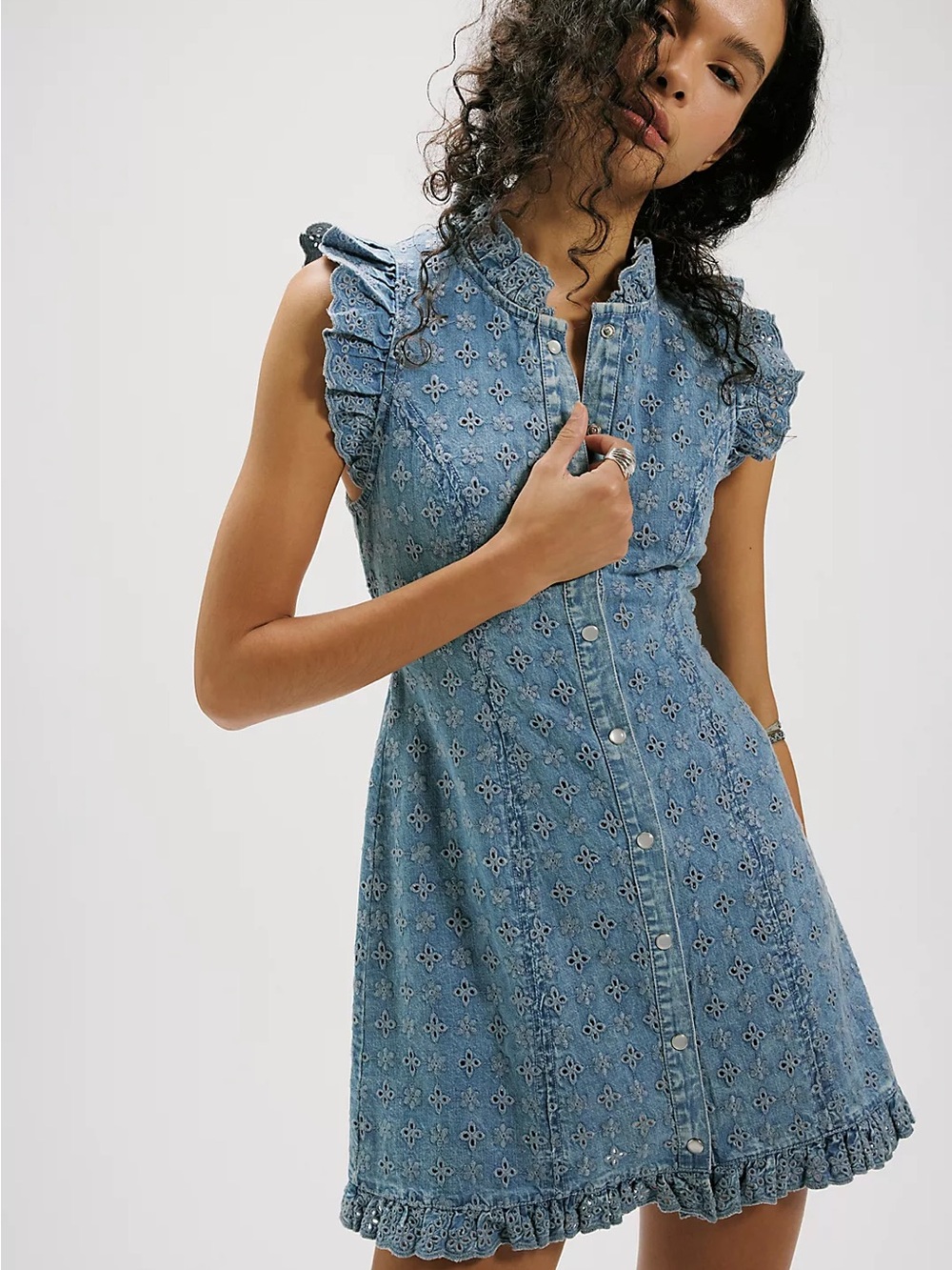 Silver Springs Mini Dress